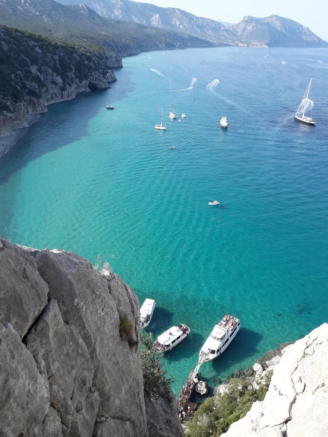 B&B Fradama' Holiday Dorgali Dış mekan fotoğraf