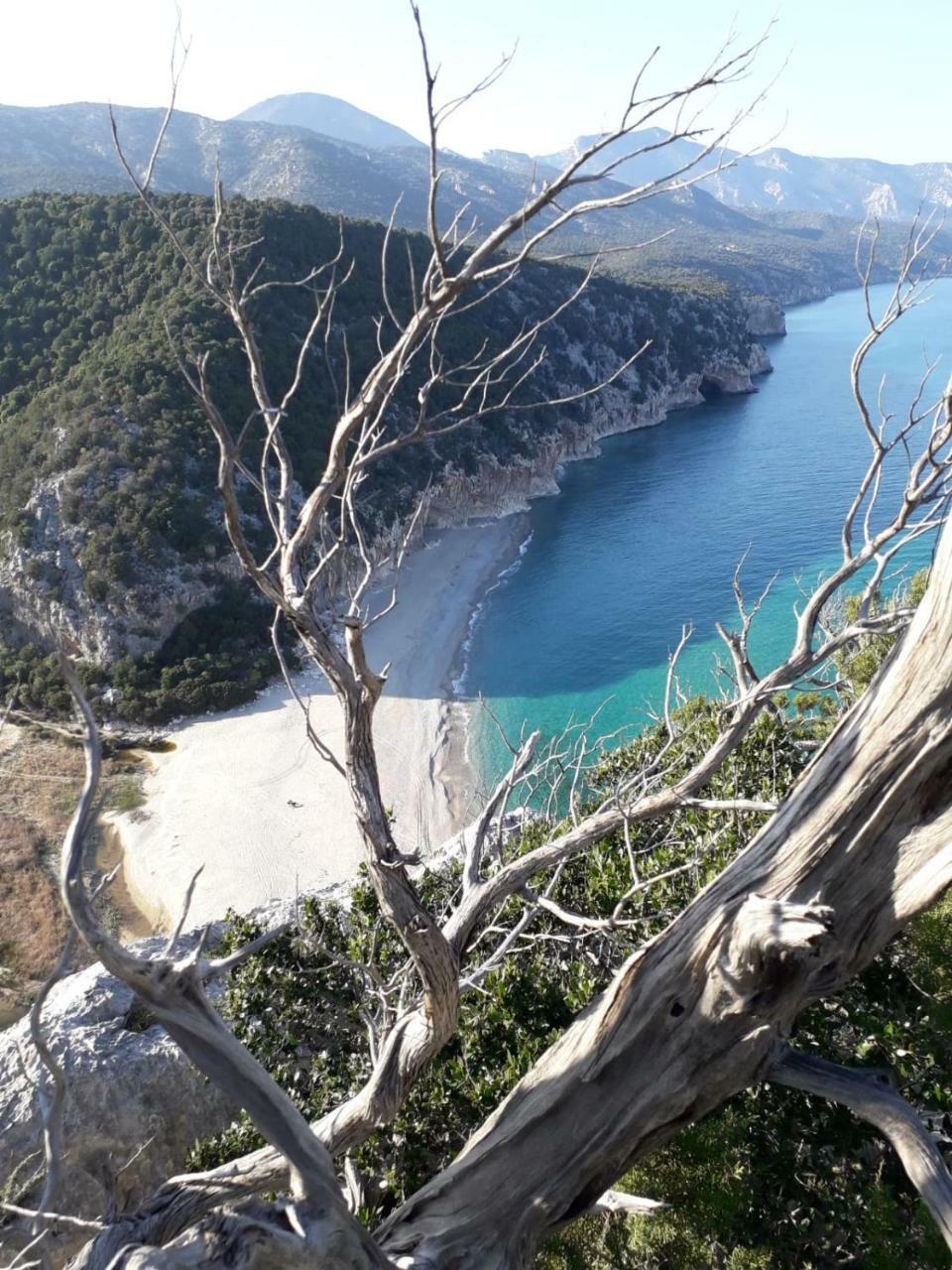 B&B Fradama' Holiday Dorgali Dış mekan fotoğraf
