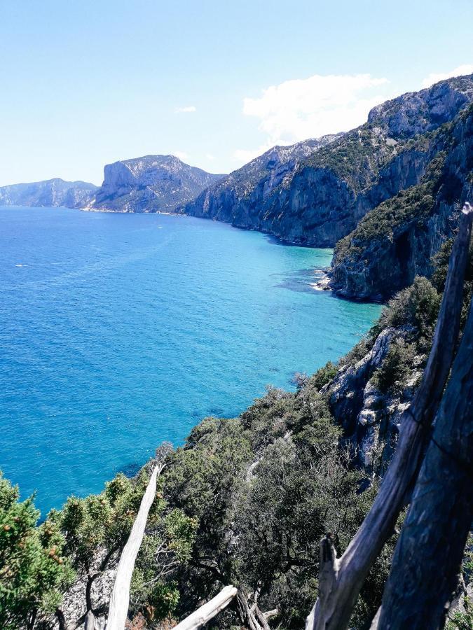 B&B Fradama' Holiday Dorgali Dış mekan fotoğraf