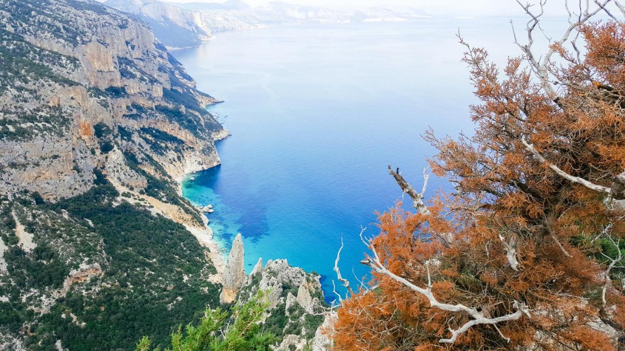 B&B Fradama' Holiday Dorgali Dış mekan fotoğraf